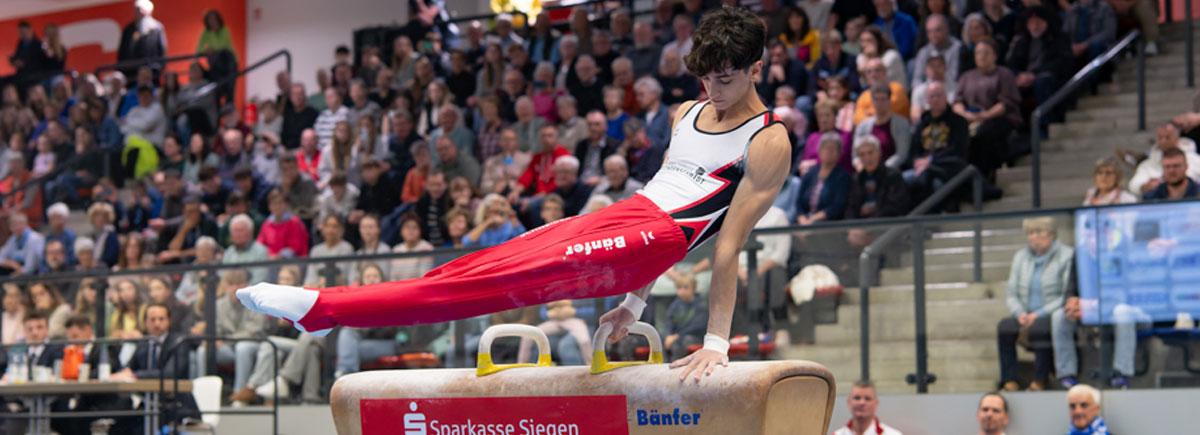 SKV - KTV Straubenhardt Pferd