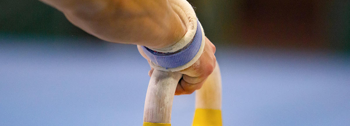 Das Sportjahr 2019